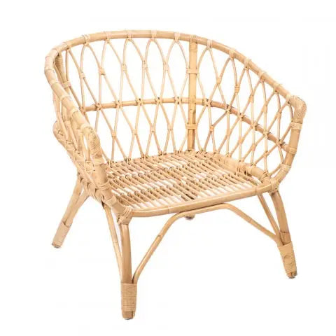 LESKY - Fauteuil van rotan met kussen