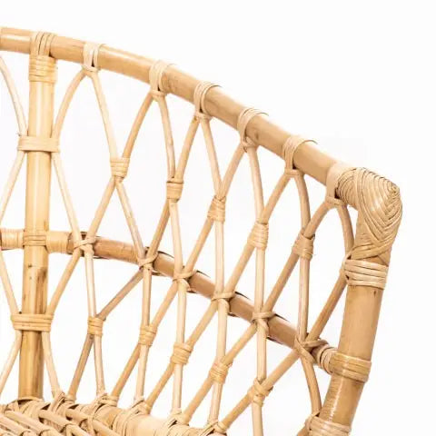 LESKY - Fauteuil van rotan met kussen